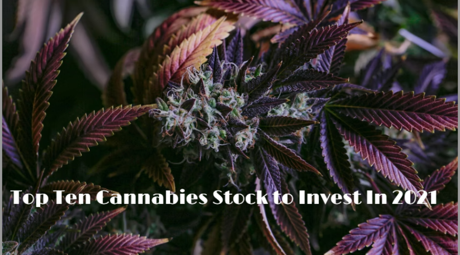 Top ten cannabis stock to invest in
